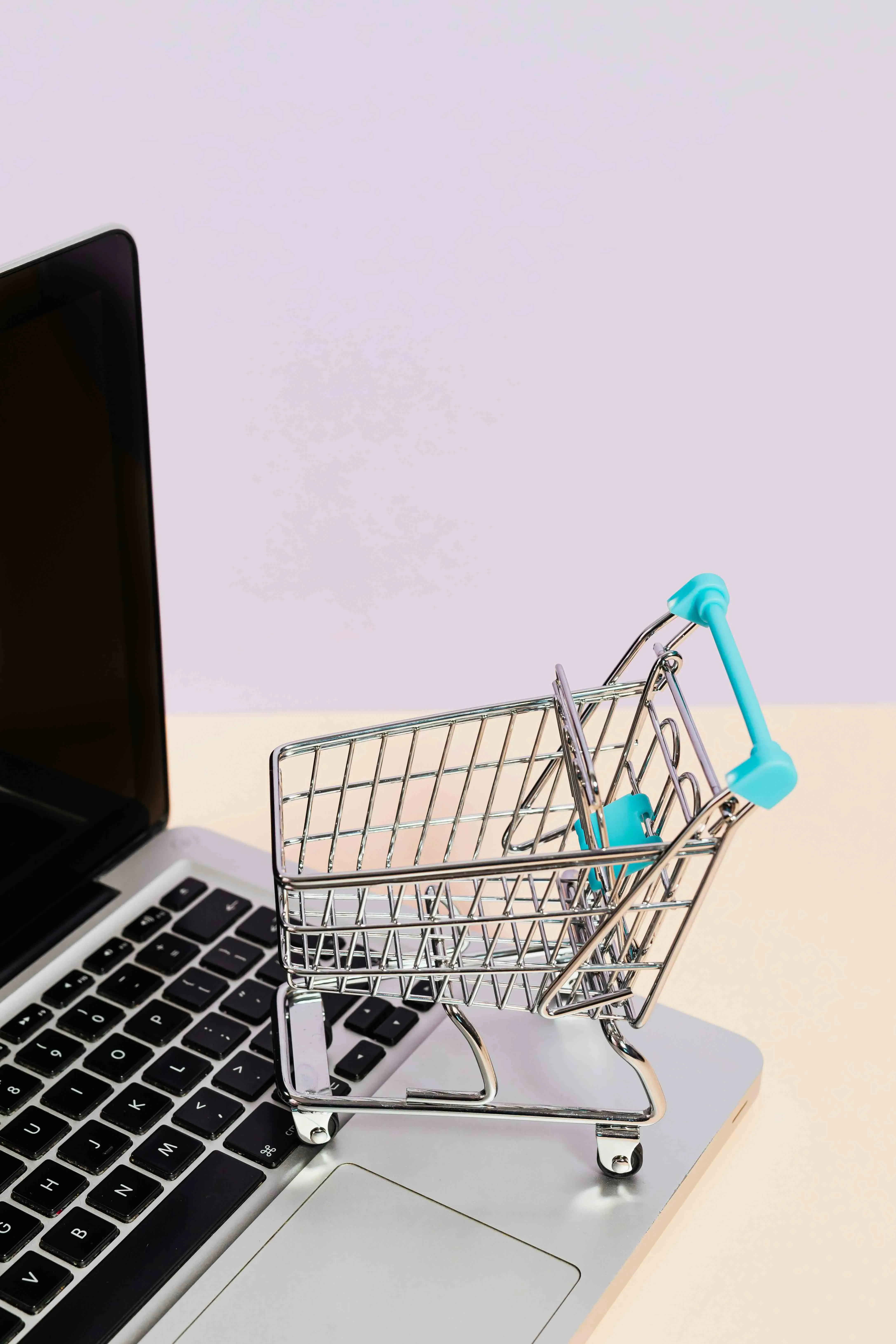 eCommerce solutions, web development, Laravel, Vue.js, PHP, scalable websites, digital presence, business integration, responsive design, web design